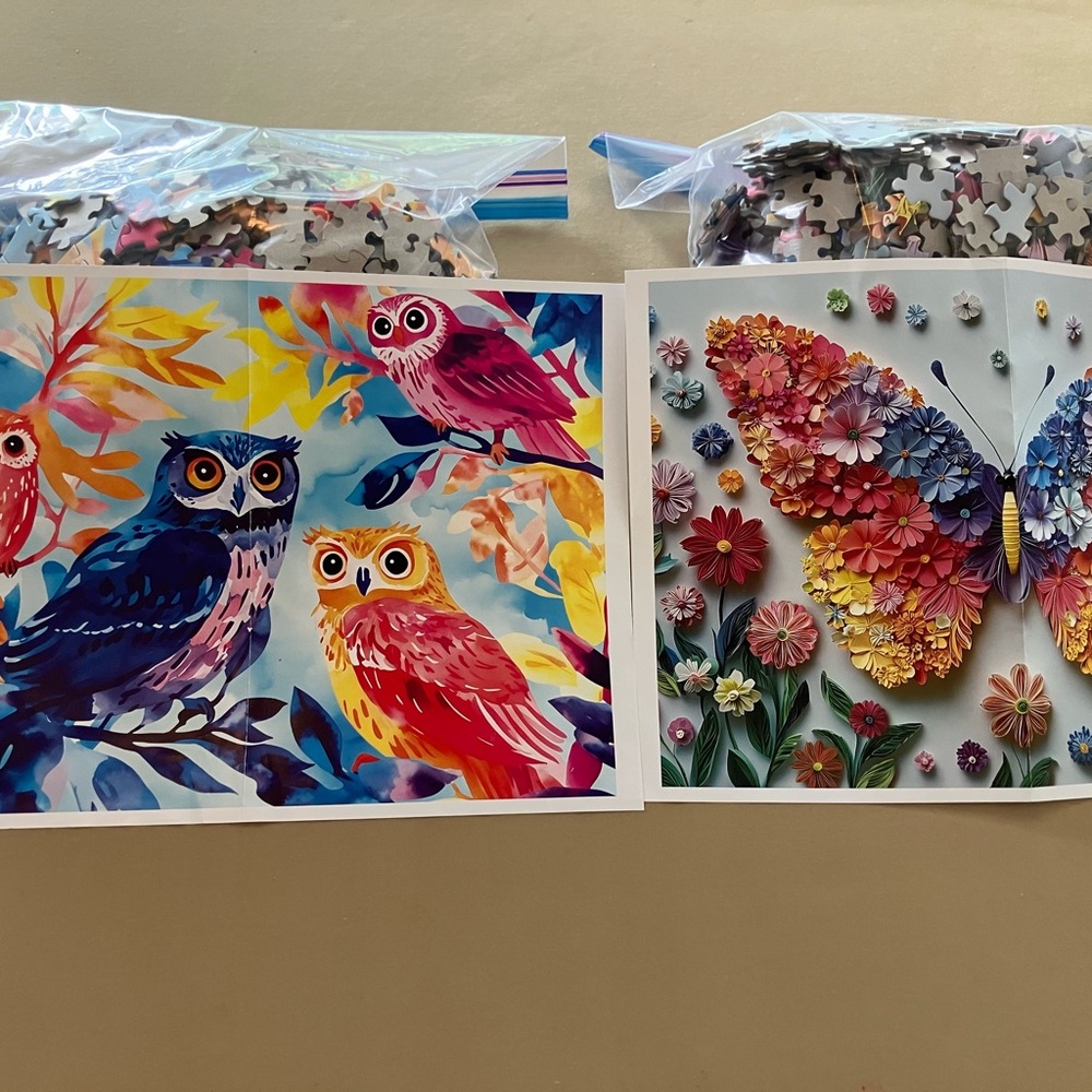 Two Jigsaw Puzzles - Picture 2 of 4